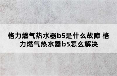 格力燃气热水器b5是什么故障 格力燃气热水器b5怎么解决